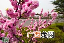 倒春寒如何养生？倒春寒养生需注意五点