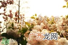 倒春寒如何养生？倒春寒养生需注意五点