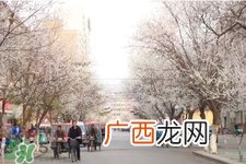 倒春寒是一种什么冷？倒春寒为什么会冷？