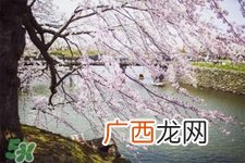 倒春寒是一种什么冷？倒春寒为什么会冷？