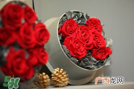 roseonly鲜花多少钱？roseonly永生花多少钱？