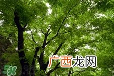 倒春寒一般是什么时候？倒春寒一般是几月？