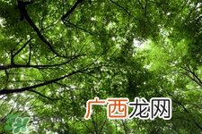 倒春寒一般是什么时候？倒春寒一般是几月？