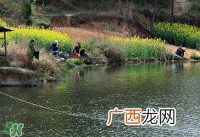 春天钓鱼用什么饵料？春天钓鱼用腥还是香？