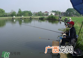 春天钓鱼用什么饵料？春天钓鱼用腥还是香？