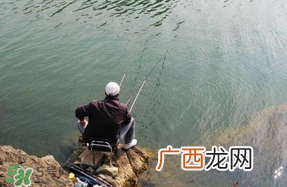 春天钓鱼用什么饵料？春天钓鱼用腥还是香？