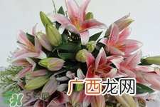 百合花怎么养水里？水养百合花怎么开久些？