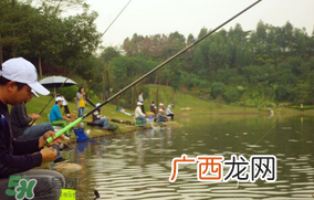 春天什么时候钓鱼最好？春天钓鱼的最好时间