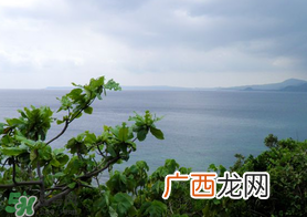 春天怎么还有雾霾？一年中雾霾高发期是哪个季节？