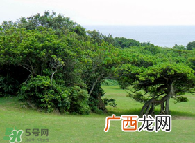 春天怎么还有雾霾？一年中雾霾高发期是哪个季节？