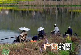 初春什么时候可以钓鱼？初春钓鱼技巧