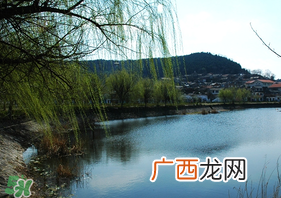 初春什么时候可以钓鱼？初春钓鱼技巧
