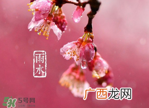 雨水吃什么？雨水节气饮食禁忌？