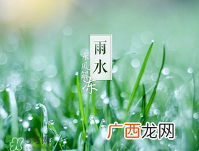雨水吃什么？雨水节气饮食禁忌？