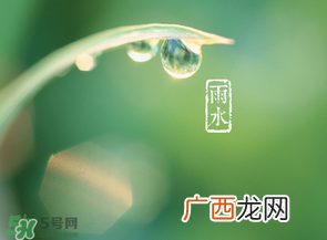 雨水吃什么？雨水节气饮食禁忌？