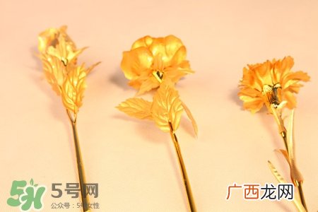 情人节可以送金玫瑰吗？情人节送金玫瑰好吗？