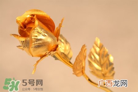 情人节可以送金玫瑰吗？情人节送金玫瑰好吗？