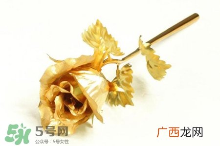 情人节可以送金玫瑰吗？情人节送金玫瑰好吗？