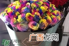 彩色玫瑰代表什么意思？彩色玫瑰花语是什么含义？