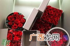 彩色玫瑰代表什么意思？彩色玫瑰花语是什么含义？