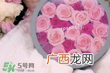 彩色玫瑰代表什么意思？彩色玫瑰花语是什么含义？
