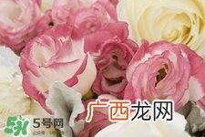 鲜花怎么养？鲜花怎么养放的比较久？