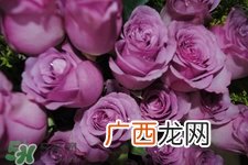 鲜花怎么养？鲜花怎么养放的比较久？
