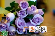 鲜花怎么养？鲜花怎么养放的比较久？