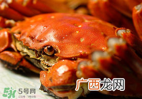 春天的螃蟹能吃吗？开春后大闸蟹能吃吗？