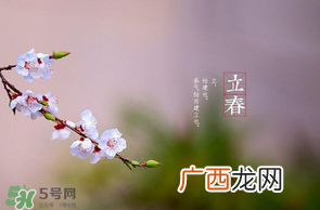 立春后种什么花？立春时开的花有哪些？