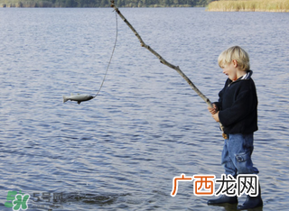 立春能钓鱼吗？立春好钓鱼吗？