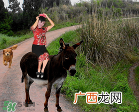 立春可以回娘家吗？立春能在娘家过吗？