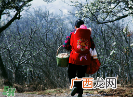 立春可以回娘家吗？立春能在娘家过吗？