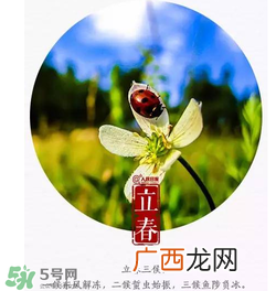 立春可以出门吗?立春为什么不能出门?