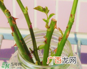 立春可以理发吗？立春可以洗头吗？