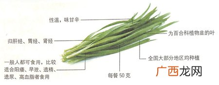 大寒吃什么好?韭菜能补肝肾,壮阳固精