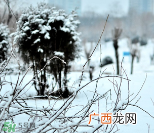 小寒和大寒哪个冷？小寒大寒什么意思？