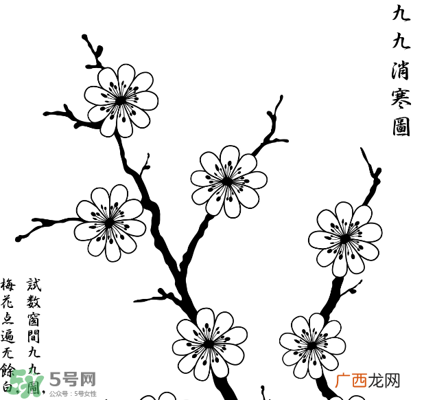 数九天什么时候最冷?数九天几九最冷?