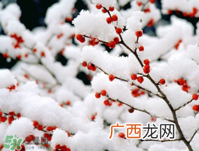数九天什么时候最冷?数九天几九最冷?