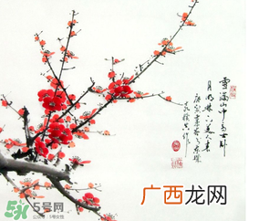 数九天什么时候最冷?数九天几九最冷?