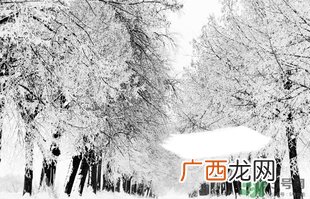 小雪喝什么茶？小雪茶品推荐
