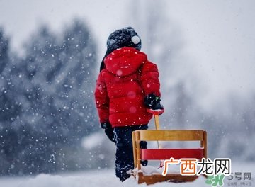 小雪喝什么茶？小雪茶品推荐