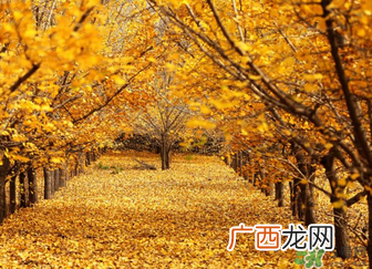 ?冬天空调开多少度合适？冬天空调制热多少度合适？