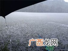 十月下雨能钓鱼吗?十月下雨天鲢鱼好钓吗?