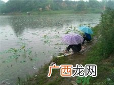 十月下雨能钓鱼吗?十月下雨天鲢鱼好钓吗?