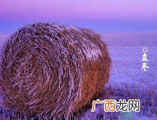 立冬可以钓鱼吗？立冬钓鱼注意事项
