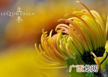立冬可以钓鱼吗？立冬钓鱼注意事项