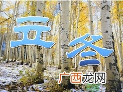 立冬可以栽树吗？立冬栽树树会死吗？