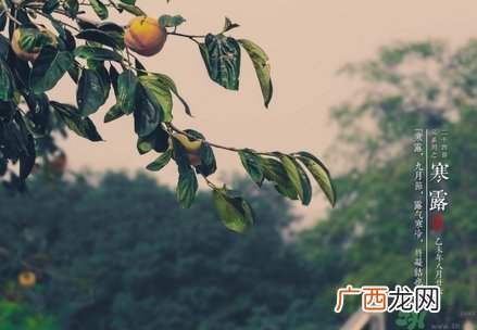 寒露穿什么鞋子？寒露可以穿凉鞋吗？
