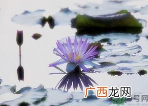 寒露穿什么鞋子？寒露可以穿凉鞋吗？